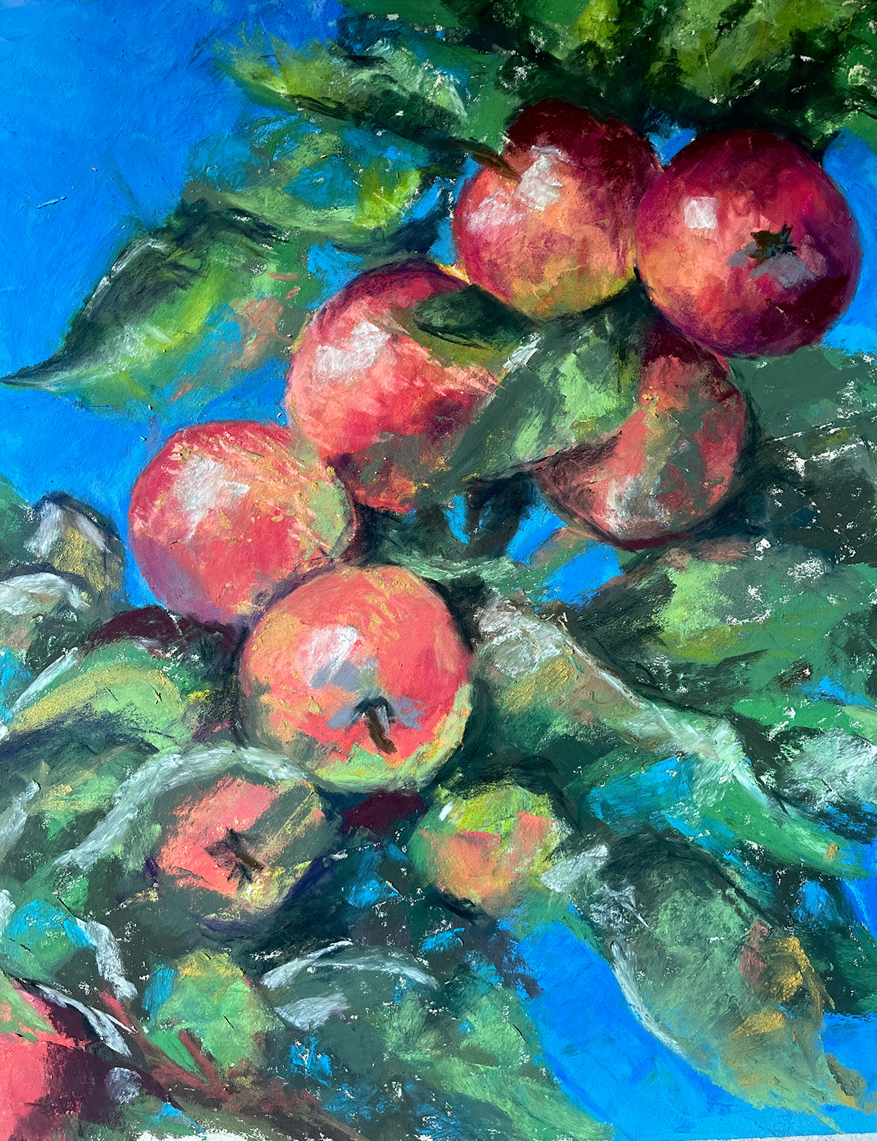 branches of apples in pastel
